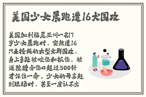 VK黑土的脚
